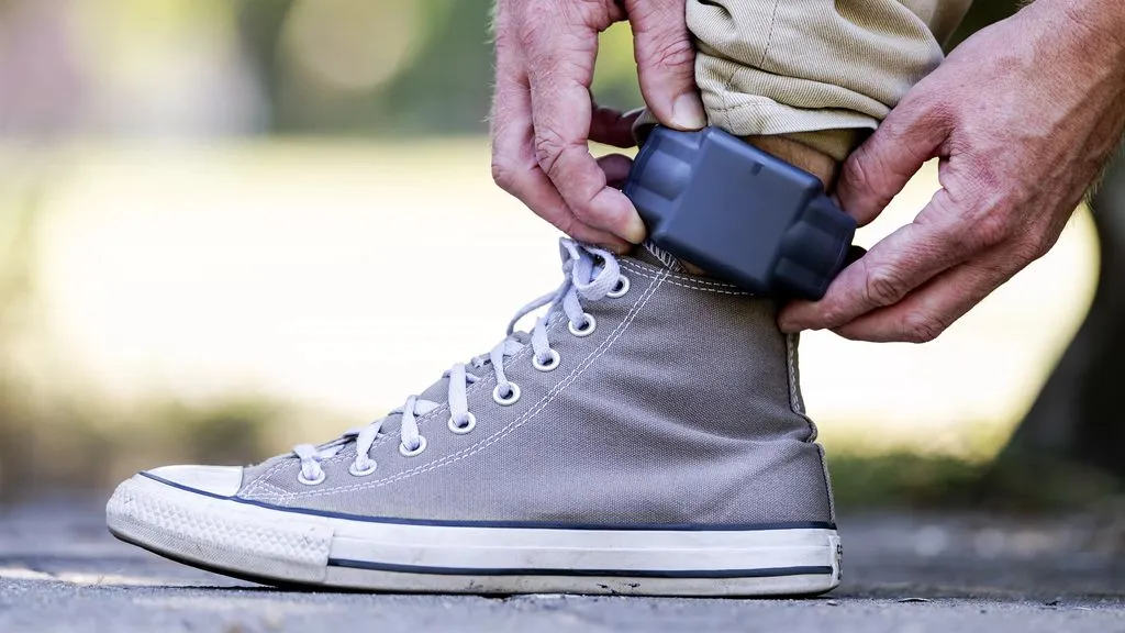 Senior prisons official: 'Use electronic ankle tag as alternative to prison sentence'
